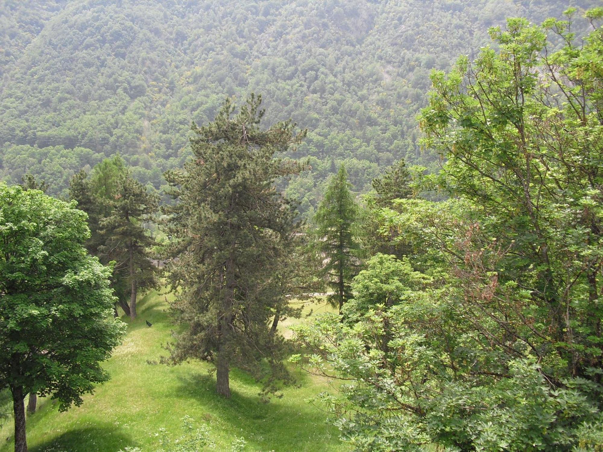 Chalet Monte Nebius Vinadio Luaran gambar
